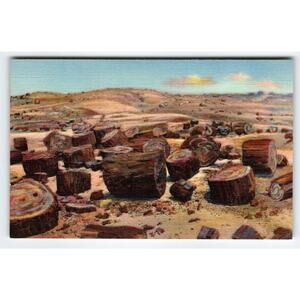 Petrified Logs Forest Arizona Linen Postcard Curt Teich Unused Vintage Rustic